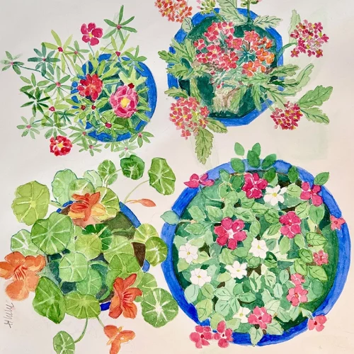 Mary Murphy Hensley