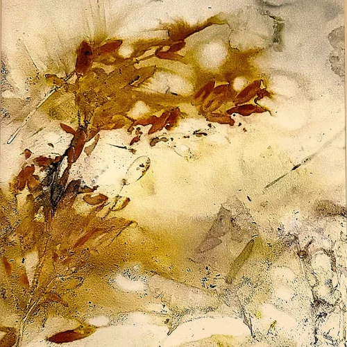Judith Stein