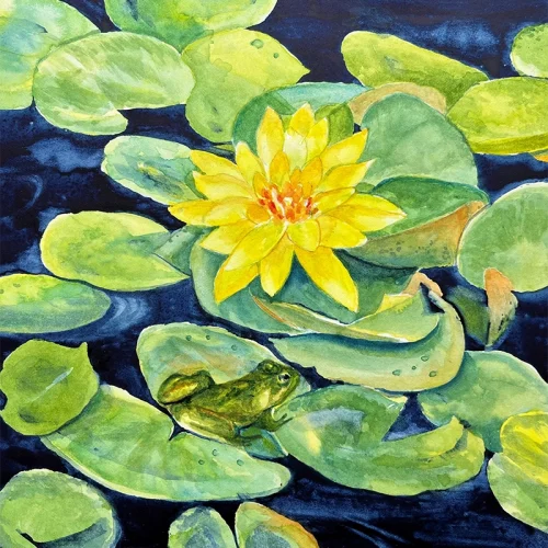 Naomi Wilsey
